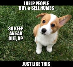 Buying and selling homes